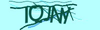 Captcha Phrase